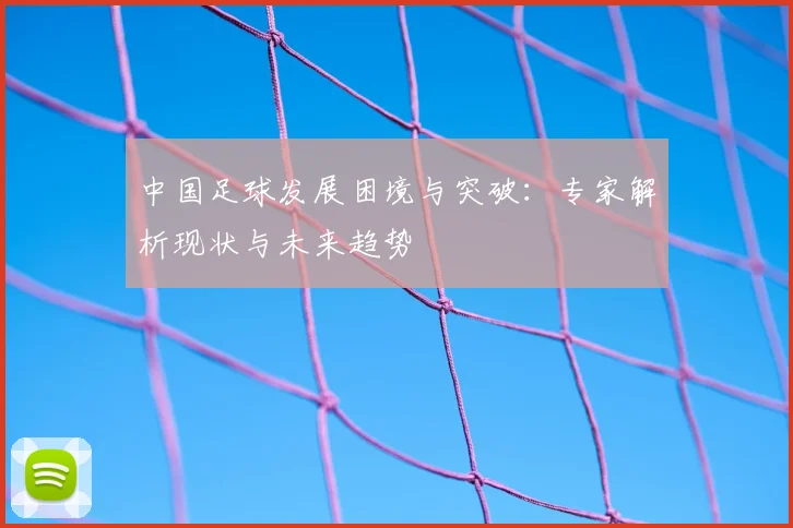 中国足球发展困境与突破：专家解析现状与未来趋势