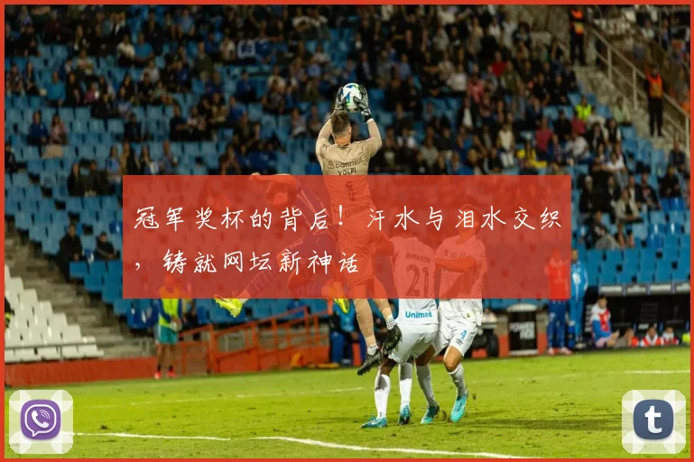 冠军奖杯的背后！汗水与泪水交织，铸就网坛新神话