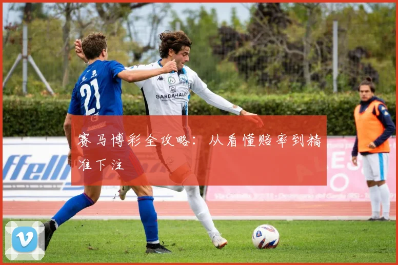 赛马博彩全攻略：从看懂赔率到精准下注