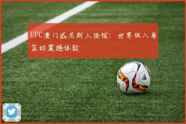 UFC澳门威尼斯人场馆:世界级八角笼的震撼体验