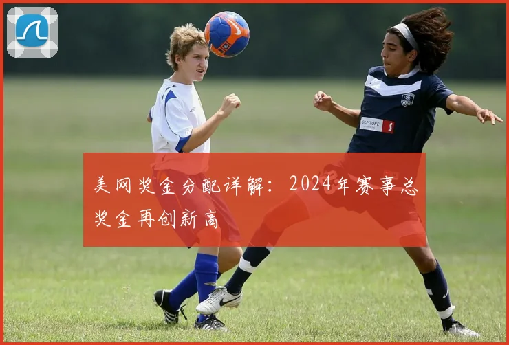 美网奖金分配详解：2024年赛事总奖金再创新高